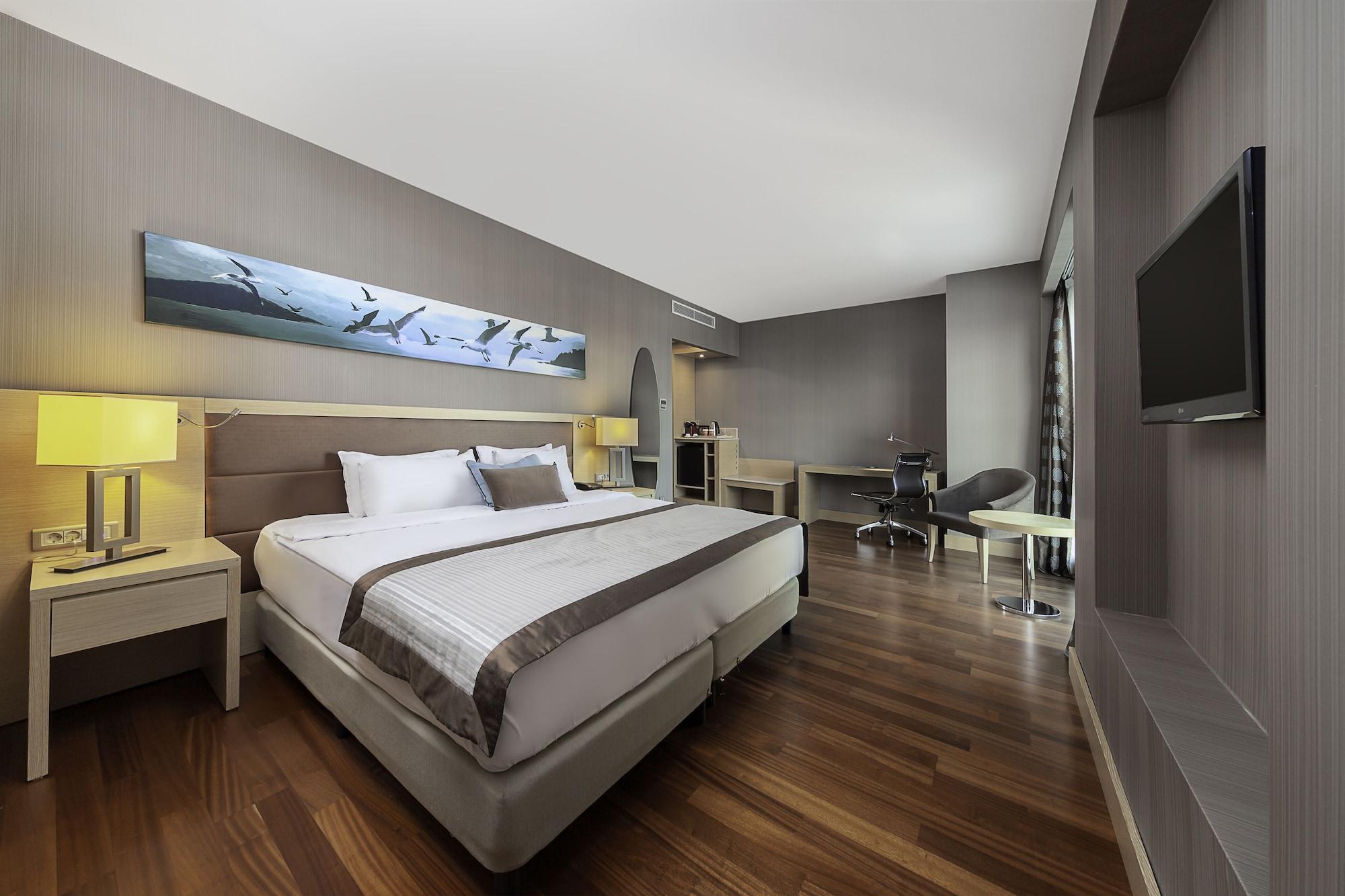 Dedeman Bostanci Istanbul Hotel & Convention Center Ngoại thất bức ảnh Deluxe Room